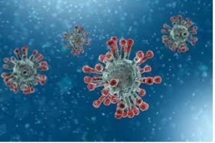 Coronavirus : Un lien génétique potentiel