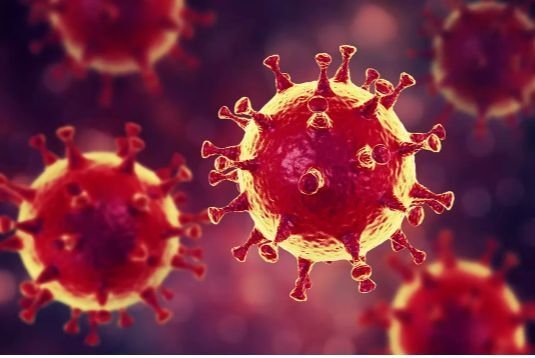 Coronavirus: Un expert en maladies infectieuses explique ce que vous devez savoir