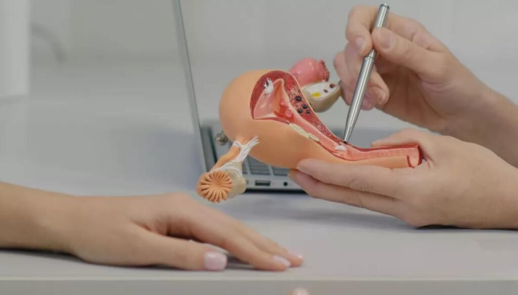 Ablation utérus